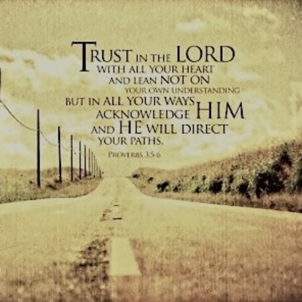 Meet your Posher, Frances